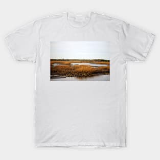 Oyster Beds T-Shirt